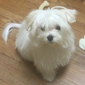 Meet your Posher, Brenda